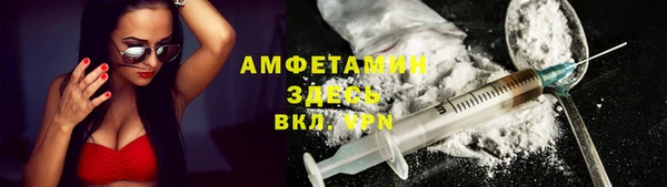 стаф Алексин