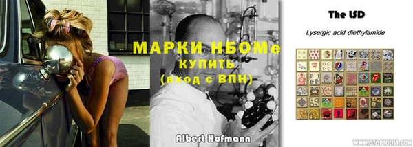 стаф Алексин